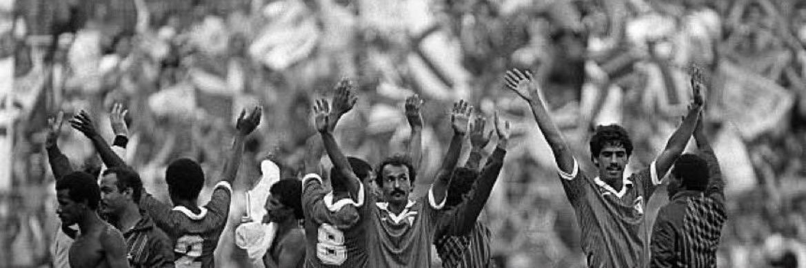 🦩. banner