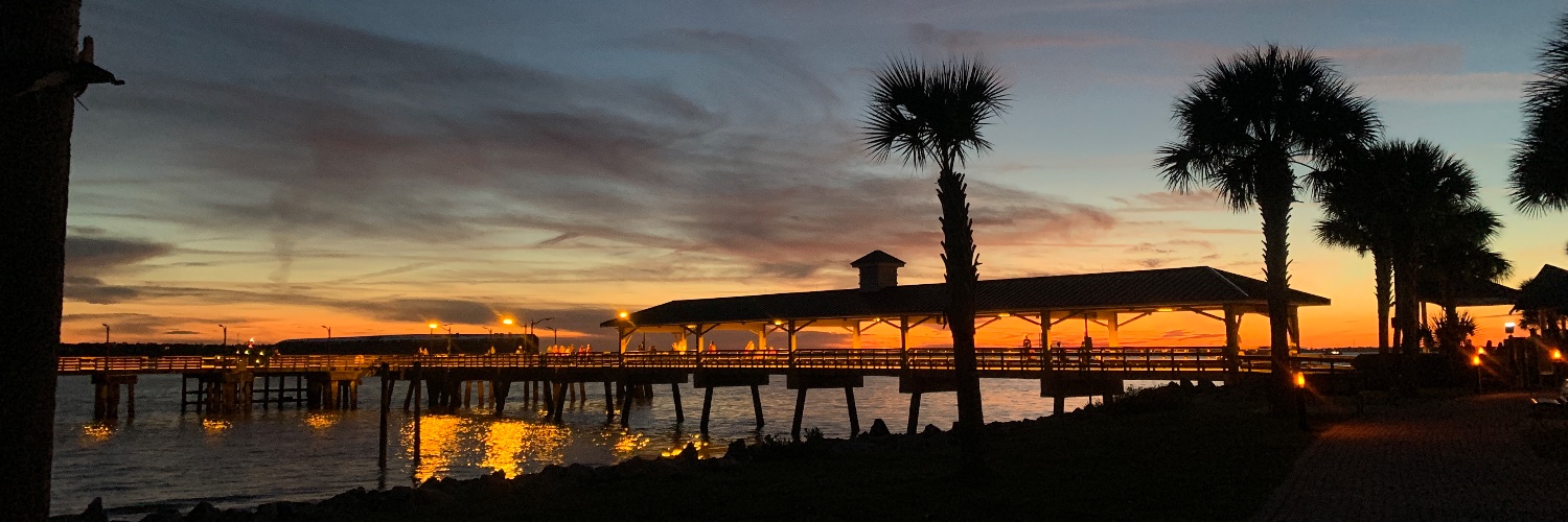 Naomi Shneibaum banner