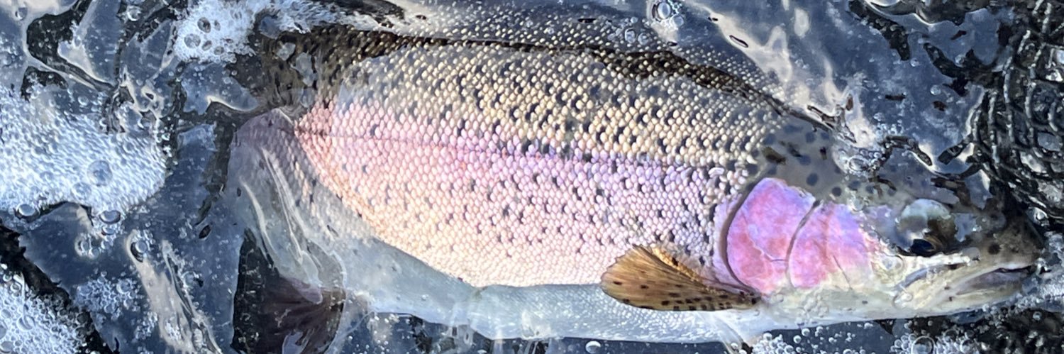 アングラーズベース#PR banner