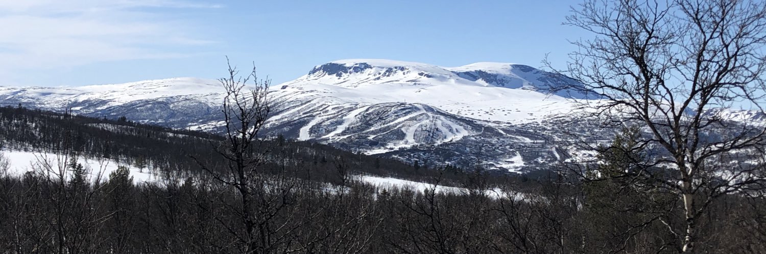 KamilaBak's profile banner image