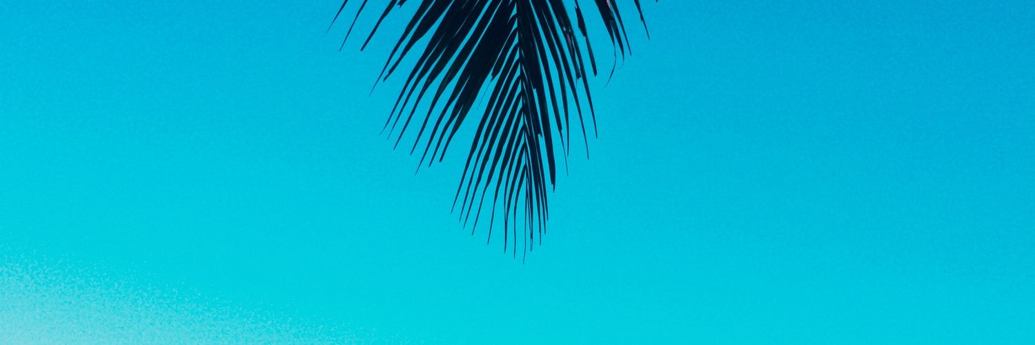 kingRavenxx's profile banner image