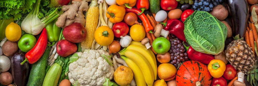 Plant Based Doctors Ireland banner