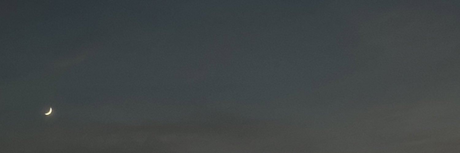 Ali. banner