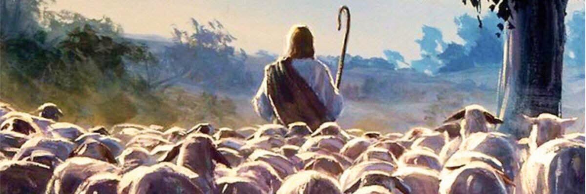 truth_seeker64's profile banner image