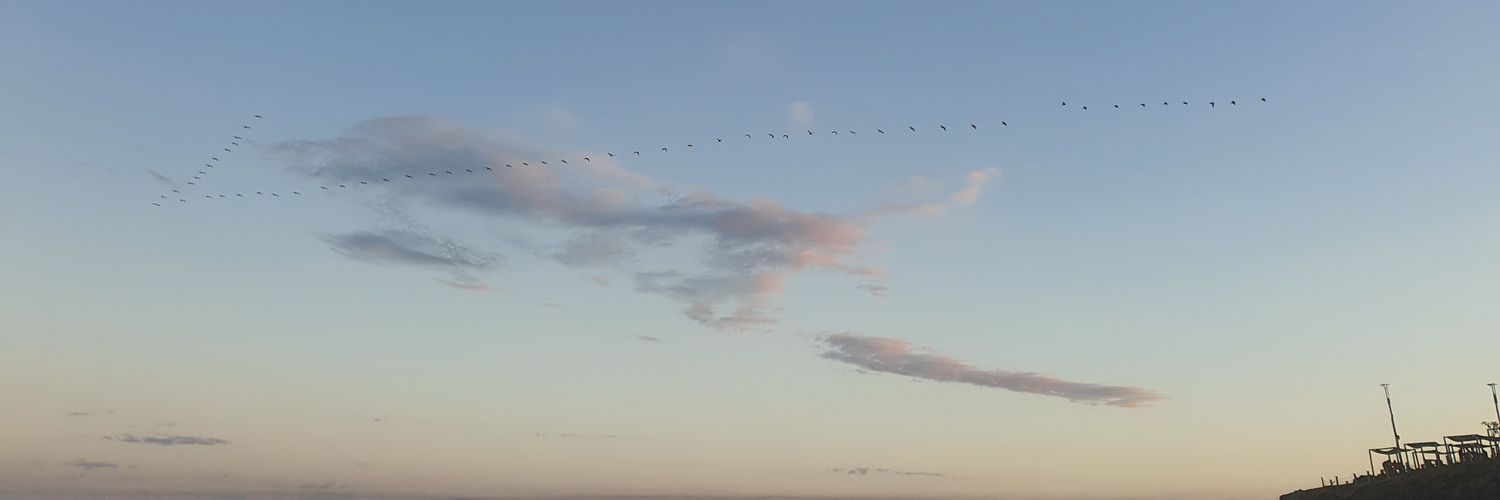 RobDeLaO's profile banner image