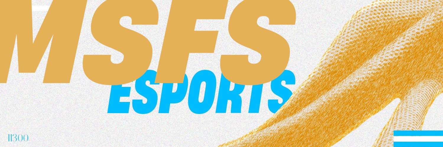 EBDJ - MSFSesports banner