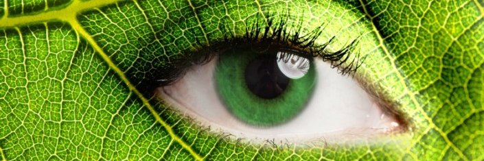 ADNRFormations's profile banner image