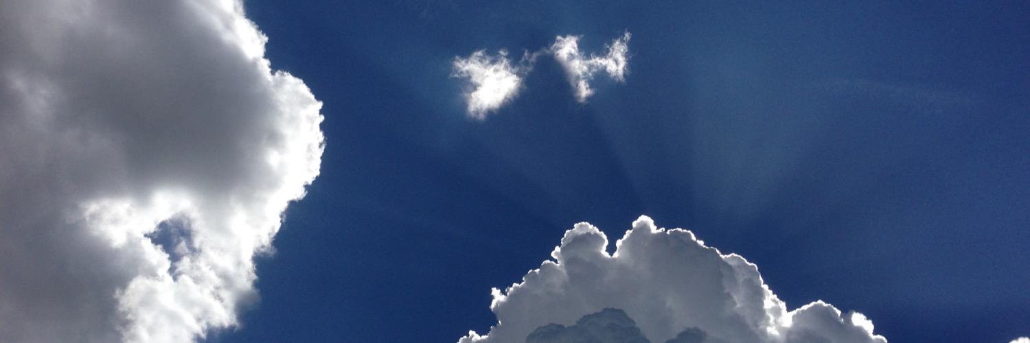 William Thompson banner