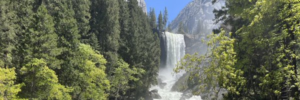 linchikwok Profile Banner