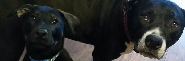 autumnlind Profile Banner