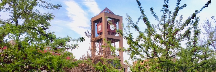 Queens College PSC's banner
