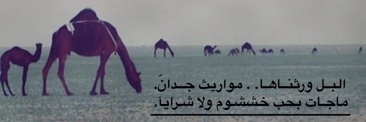 abkdhu's profile banner image