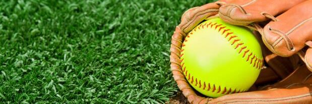 Broadalbin-Perth Softball banner