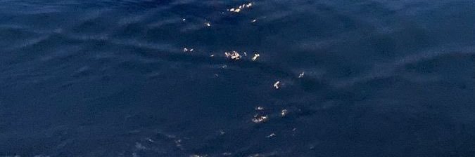 ingelalight's profile banner image