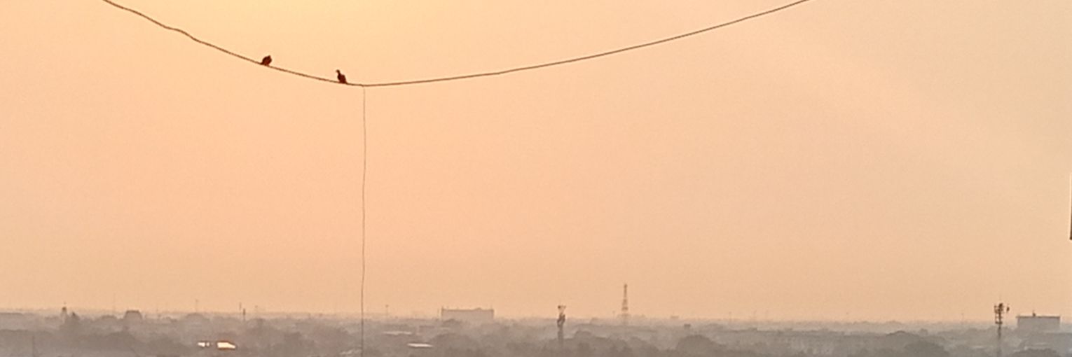 nampetch2121's profile banner image