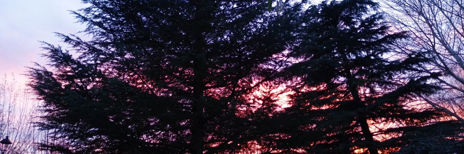 _LopezAlba's profile banner image