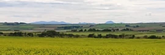 alisonbrims's profile banner image