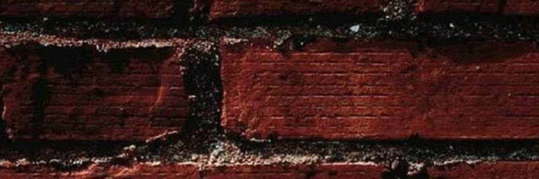 disconected101's profile banner image