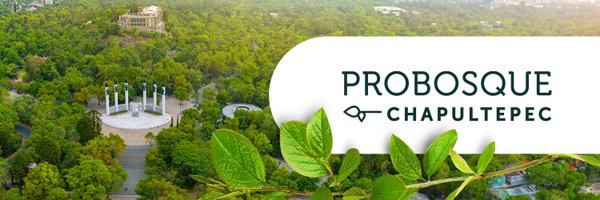 ProChapultepec Profile Banner