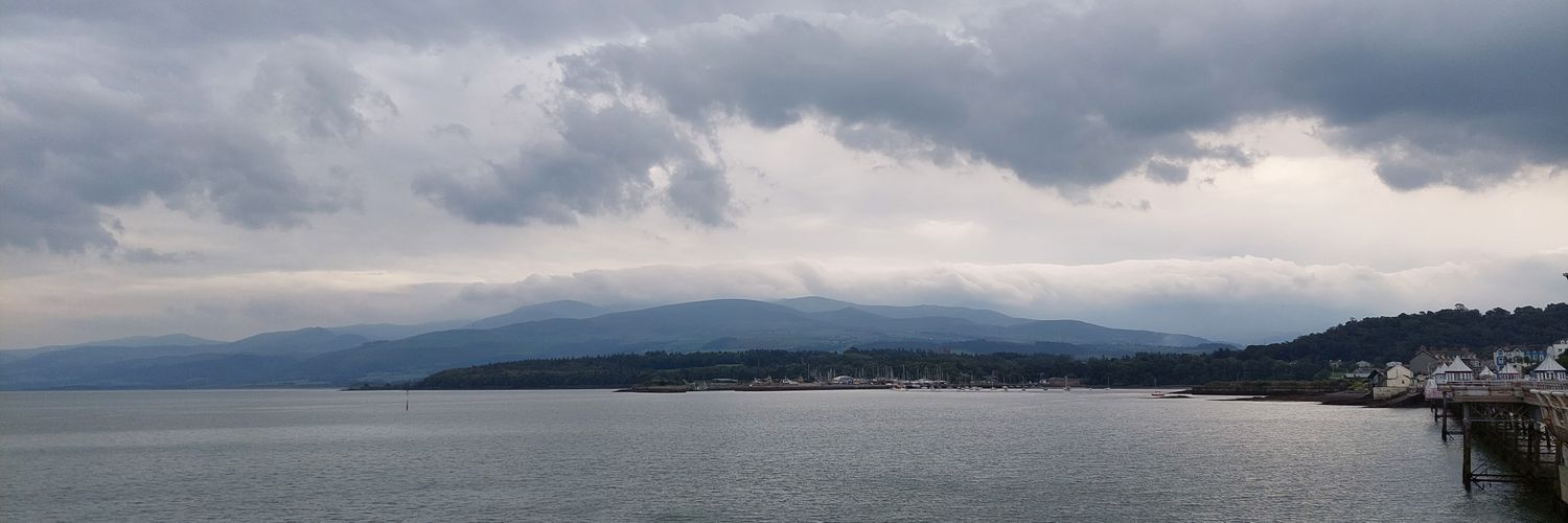 bee🌻🐝🦥 banner