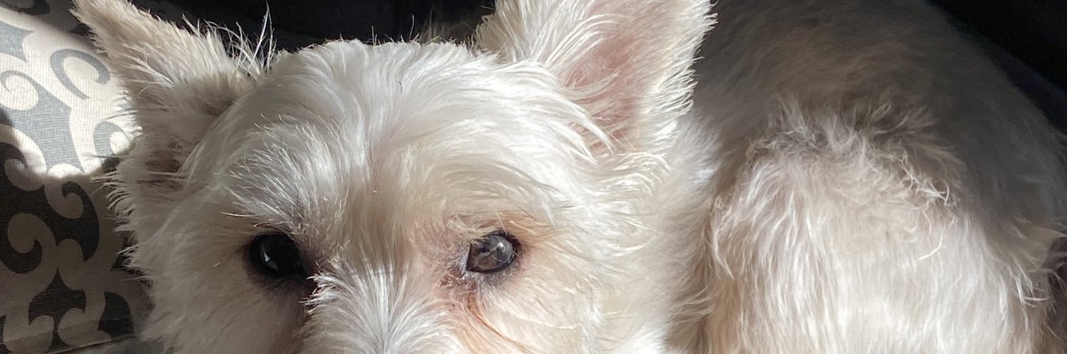 beth_tenney15's profile banner image