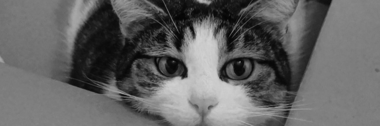 opy_ch's profile banner image