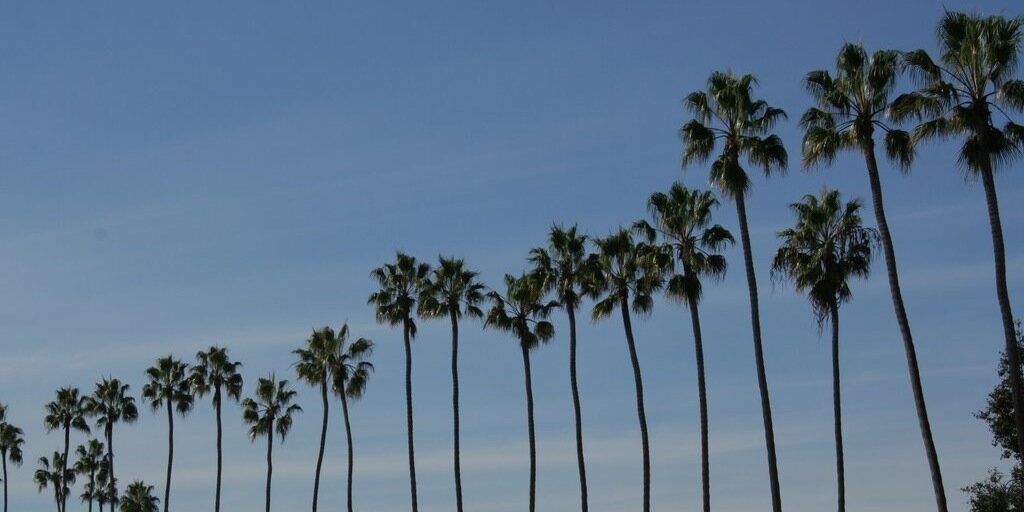 JonasHamill's profile banner image