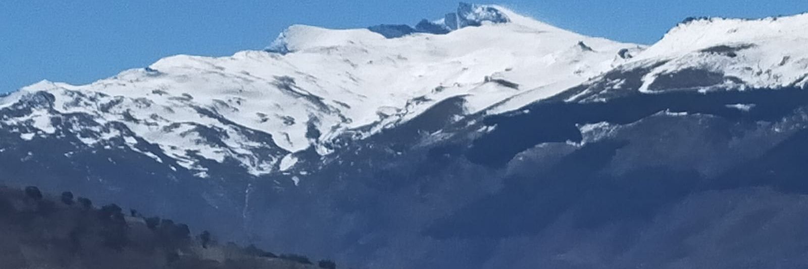 celiacf7's profile banner image