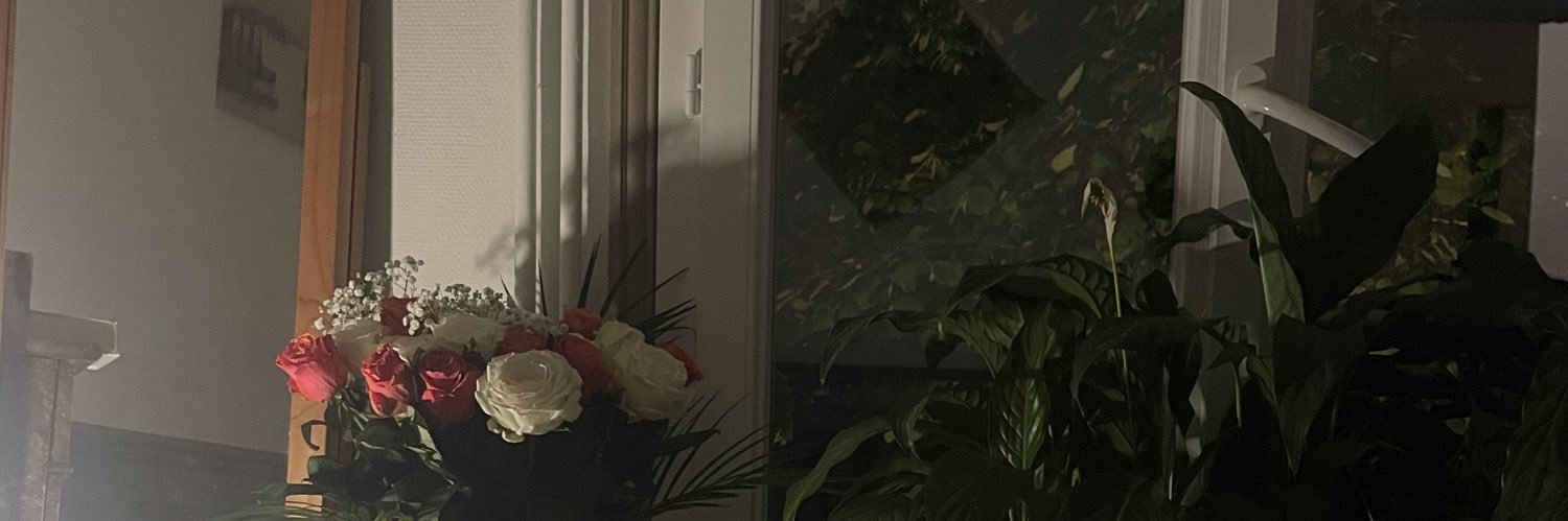 amina mbl's banner