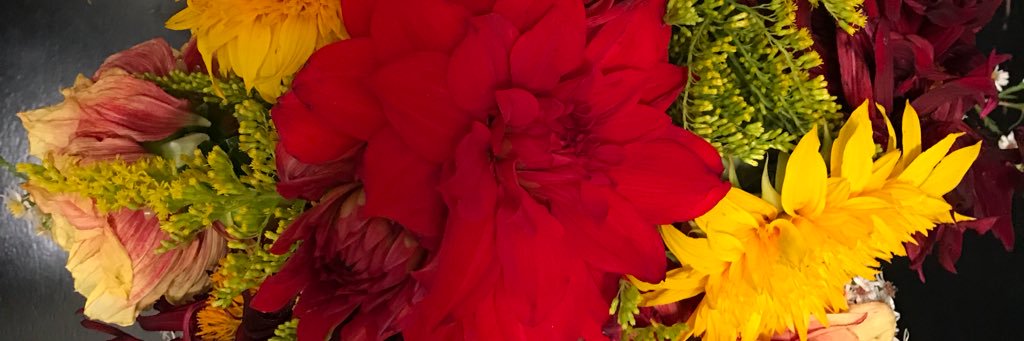 Amara_Marie15's profile banner image