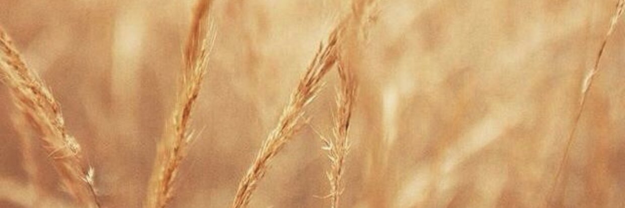basakmese's profile banner image