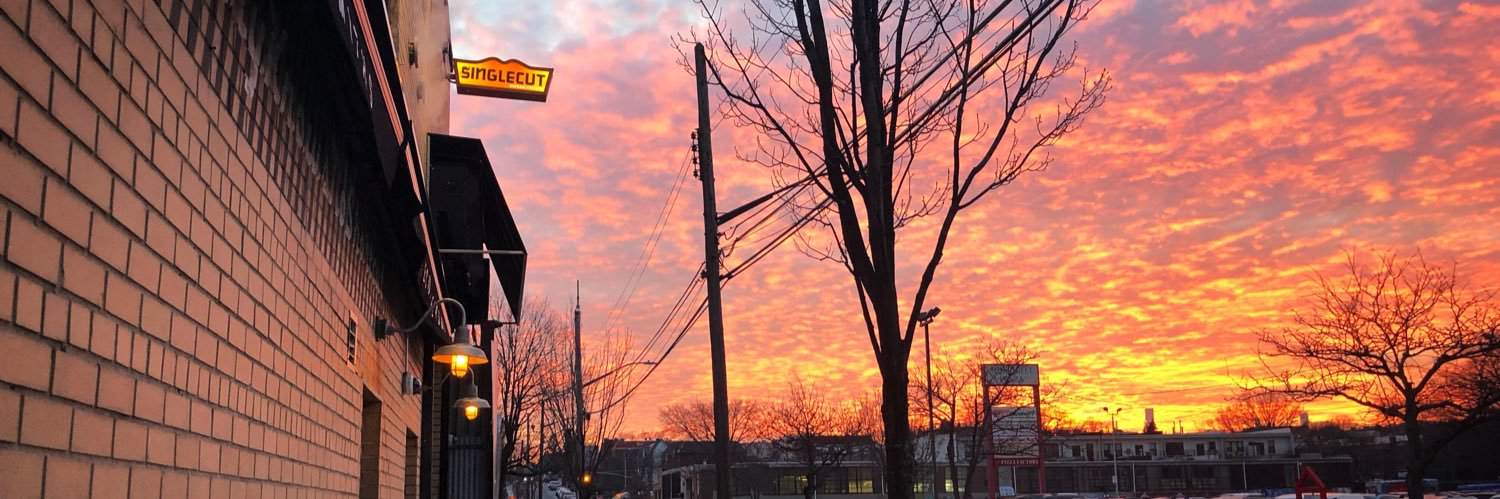 SingleCut QNS banner