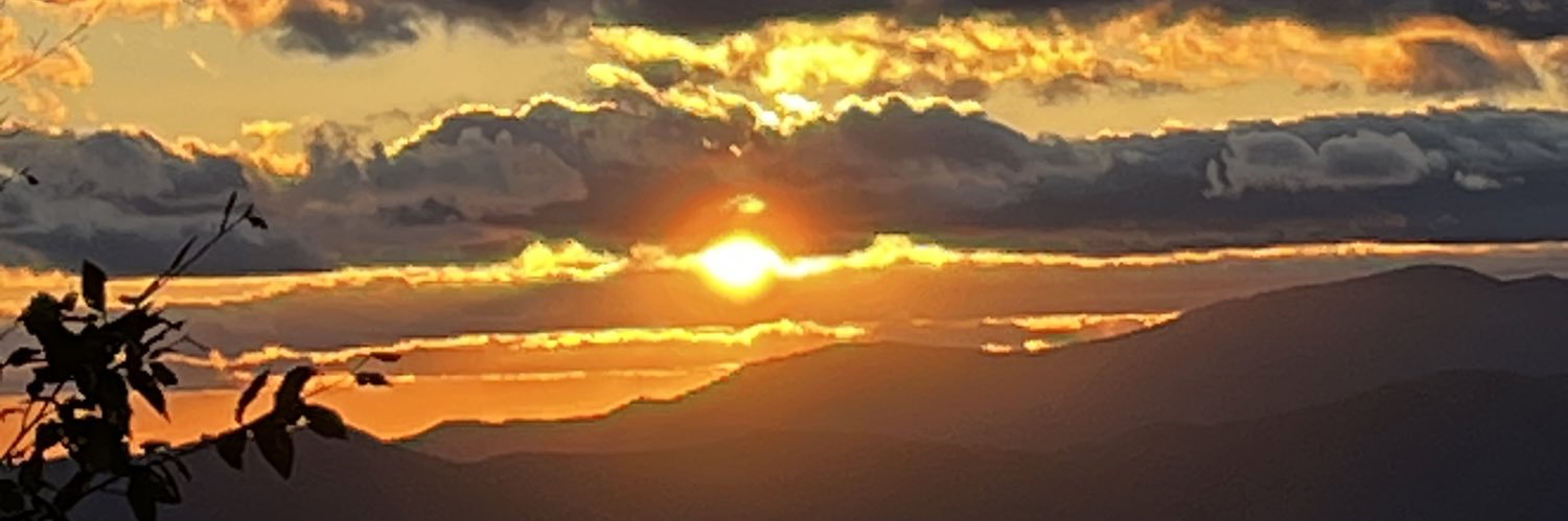 CindyPrizer's profile banner image