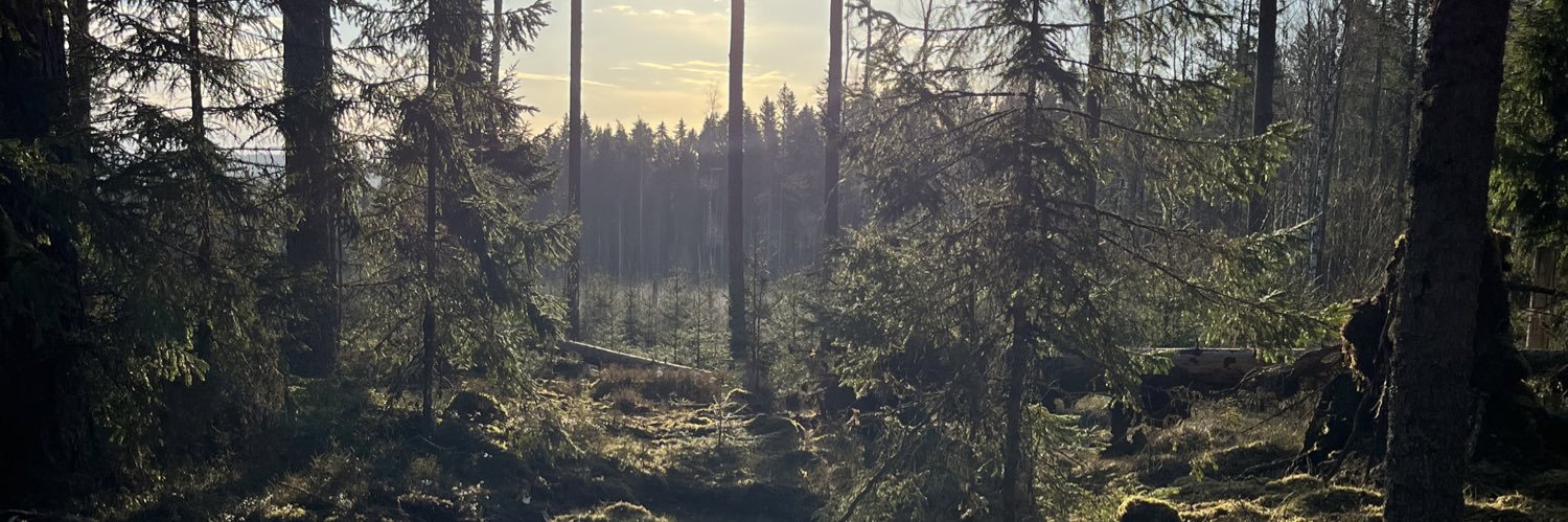 beeck1e's profile banner image