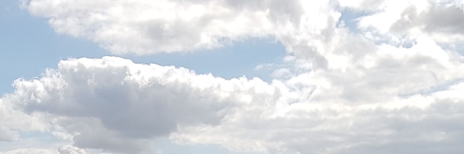 busterwave's profile banner image