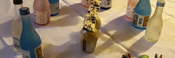 Erin Snider🆘️ 🇺🇸 🐦🌍🌊 banner