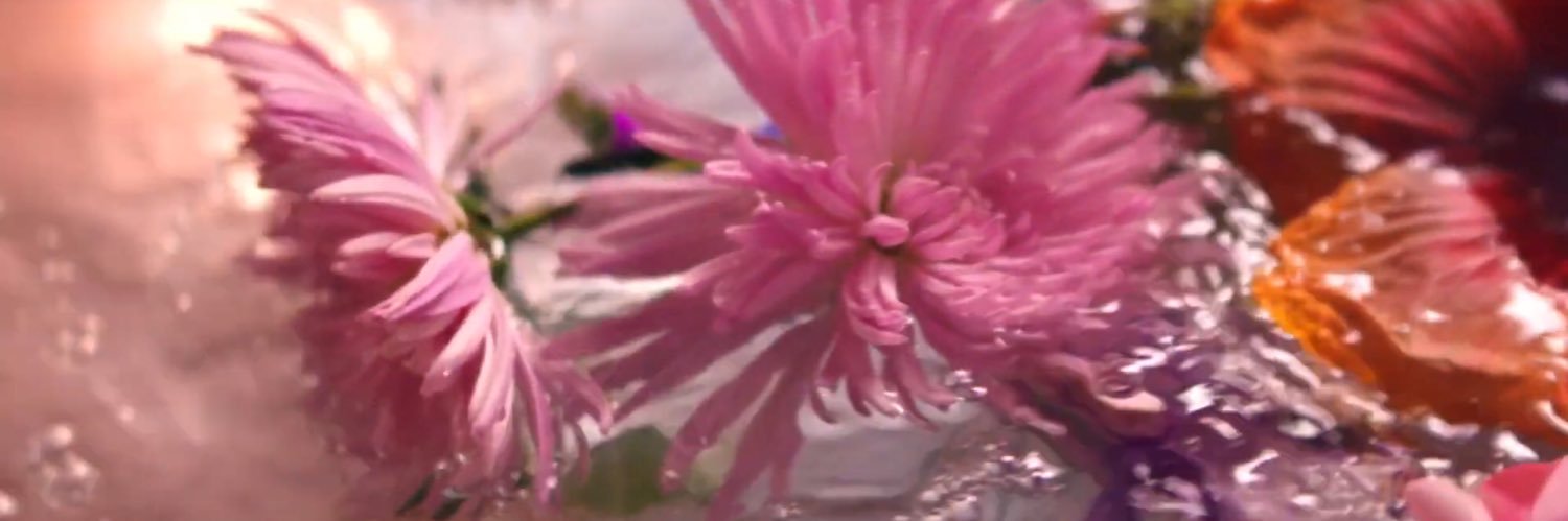 autmien's profile banner image