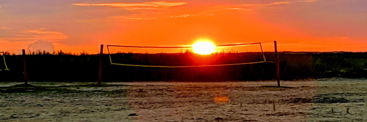 darvinius's profile banner image