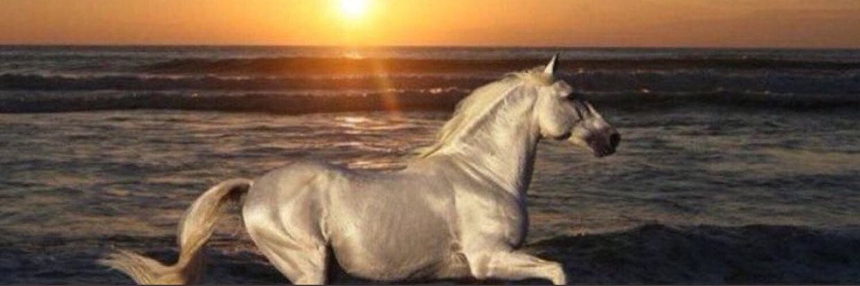 saadj6677's profile banner image