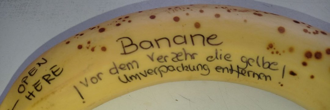 🏳️‍🌈 Elfi 🏳️‍🌈 banner