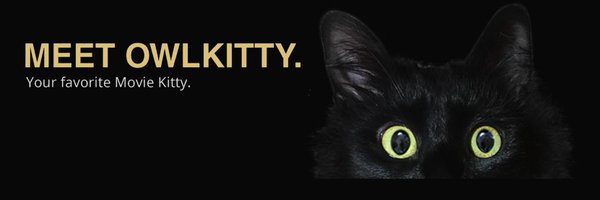 OwlKitty Profile Banner