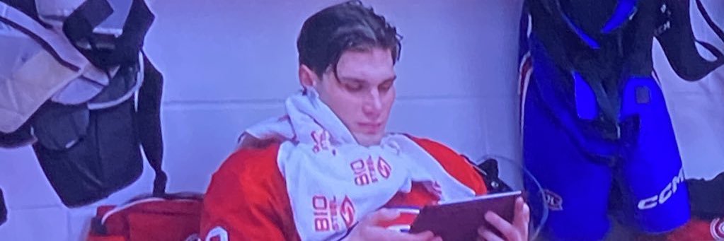 slaf4president banner