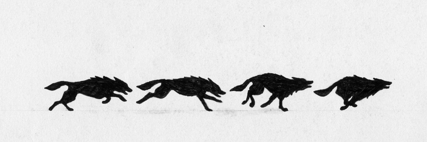 OneMoreLight__'s profile banner image