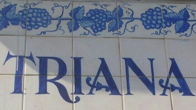 Cornetajami21's profile banner image