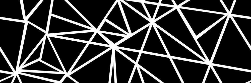 Nick Shippers banner