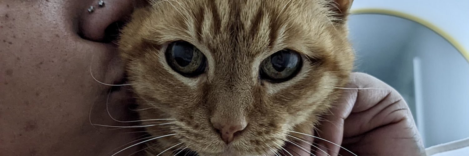 nuraboo's profile banner image