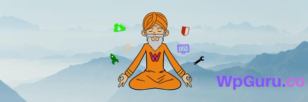 wpguru_ Profile Banner
