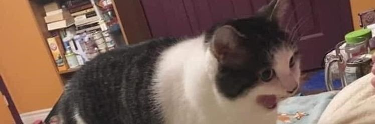 villalbaali's profile banner image