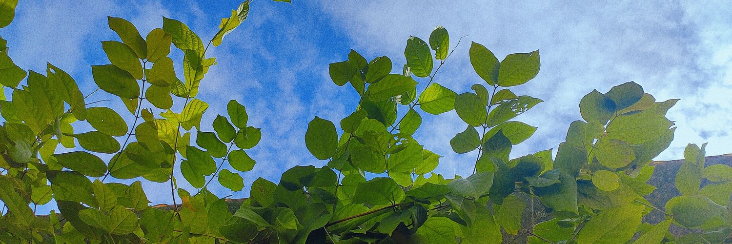 huybaka68's profile banner image