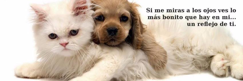 amontes3182's profile banner image